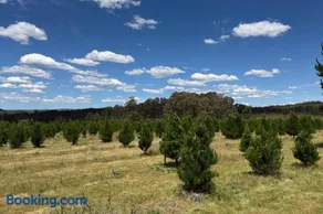 Whispering Pines Lodge - Image 3