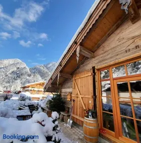 Nickis Bergcamp - Image 4