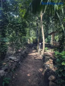 IDAM Homestay Ponmudi - Image 3