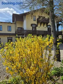 Villa Musik - apartments in historical Villa , Baden - Image 1