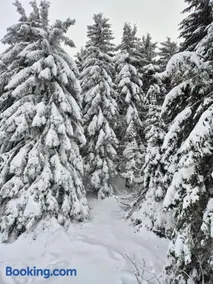 Castello apartman Kopaonik Kraljevi Cardaci komplex - Image 3