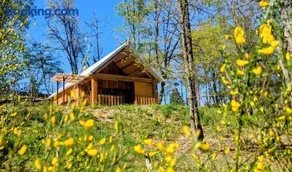chalet de Marie & 8 mins de périgueux - Image 1