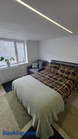 Converted garage ensuite - Image 3