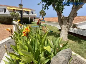 Guanche Bay - Image 5