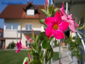 Obst- Und Ferienhof Witzigmann - Image 4