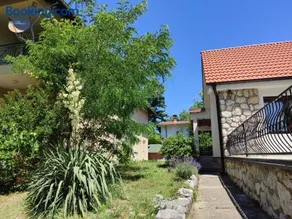 Bianca - Image 2