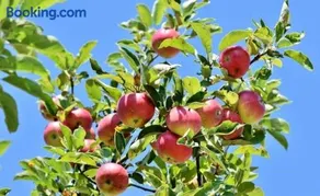 Am Apfelbaum 4 Pers - Image 1