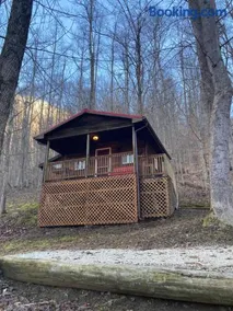 Sleepy Bear Cabin, Red River Gorge, KY, River Access & Views - Image 1