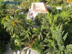 Tijarafe 1 - Image 3