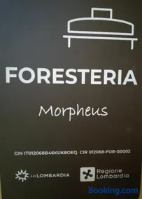 Morpheus - Image 3