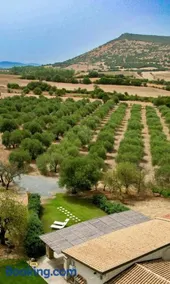 L'oliveto - Image 3