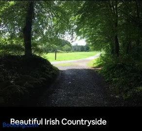 Curraghchase Cottage - Image 4