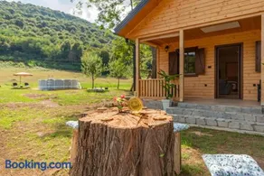 Forest Paradise - Image 3