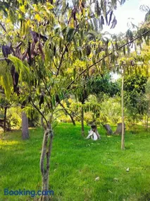 Podocarpus cottages - Image 2