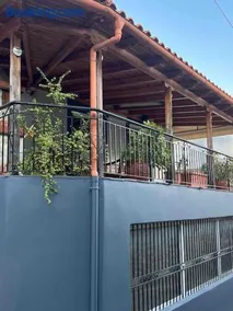 Lemon Tree - Image 2