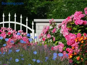 House Magnolia - Image 3
