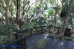 Natures View - Image 5