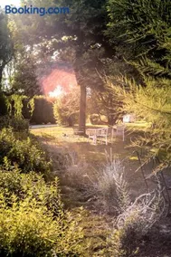 Agriturismo Tenuta Polledro - Image 2