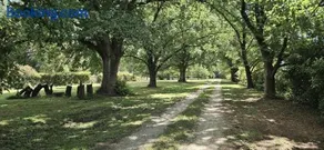 The Avenue Anahdale - Hidden 2.7 Acre Estate in town - Image 4