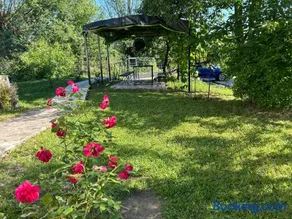 Pridvorul lui Viorel - Image 3
