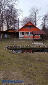 La Pensiunea Pescaria lui Nelu - Image 2