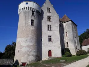 Grand gîte au château de Betz-le-Château - Image 2