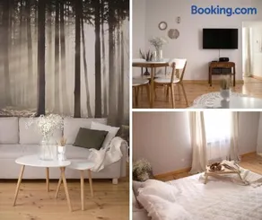 Apartamenty Zwierzyniec - Image 1