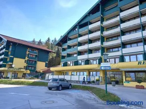 Panoramis apartment in Schladming - Image 1