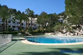 Buganvilla - Image 3