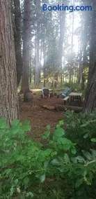 Starry Skies Campout Bring Your Own Tent No Bed Provided - Image 2