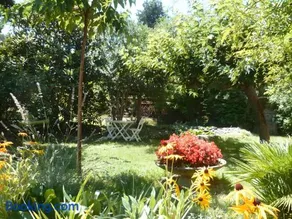 Le cigalon - Image 2