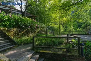 İstanbuldere Alabalık - Image 3