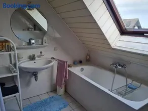 Drachenfels Nest - Image 3