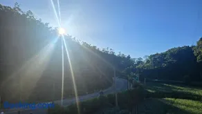 Mellow Breeze - Nuwara Eliya - Image 2