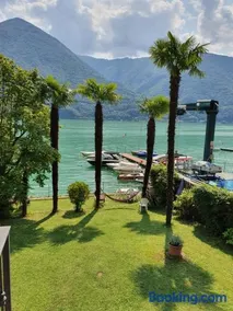 Le palme Antonella - Image 1