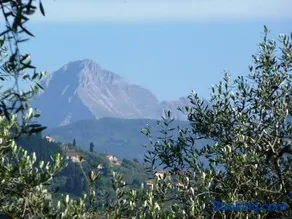 Fattoria di Camporomano - Image 2