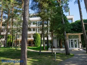 Palangos Dailė - Image 1