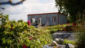 The Tin Shed - Image 2