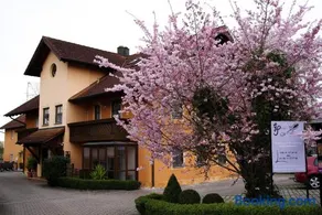 Appartementhaus Sibylle - Image 1