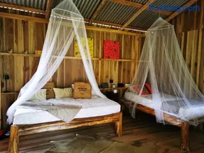 Papaya Lodge - Image 3