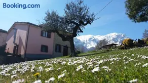 La via del parco - Image 1