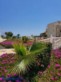 APARTAMENTO en PRIMERA LÍNEA DE VERA PLAYA NATURISTA! - Image 2