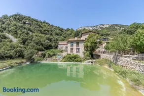 Moli - Image 3