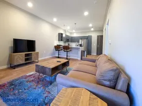 224 Brand New 1 Bedroom 1 Bath 1 Kitchen 1 Liv - Image 3