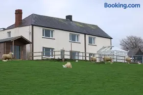 Cob Cottage - Image 3
