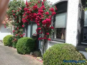 Altstadt-Apartment Petershagen - Image 2