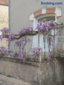 La glycine - Image 3