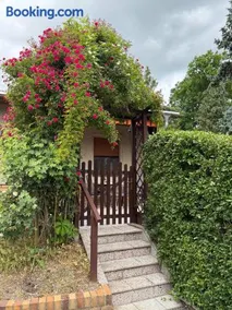 Grüner Bungalow am Kiebitzsee - Image 1