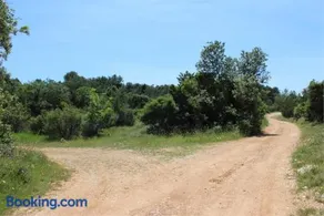 Eco Secluded apartments Zabodarski - Image 4