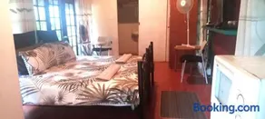 Robin's Thatch Studio- bush camp in the suburbs-sleeps 2 - Image 1